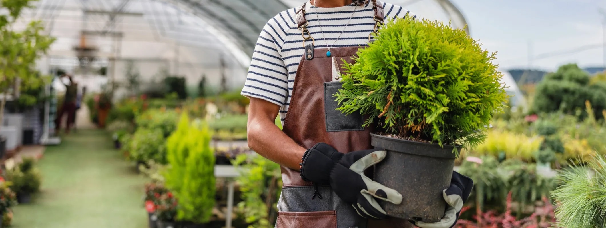 Bloomscape Pros team member tending to container plantings